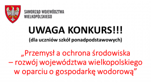 Zdjęcie: Samorząd Województwa Wielkopolskiego zaprasza do udziału w Konkursie!!!