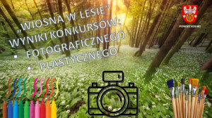 Zdjęcie: 